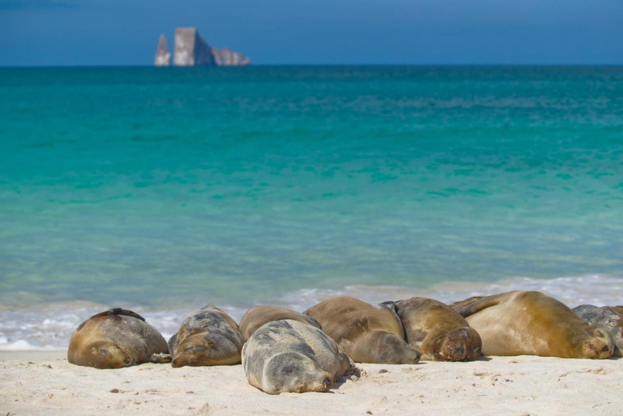Suite Cielo, Discover The Magic Of Galapagos 巴克里索莫雷诺港 外观 照片